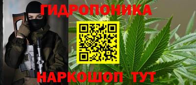 скорость Гусь-Хрустальный