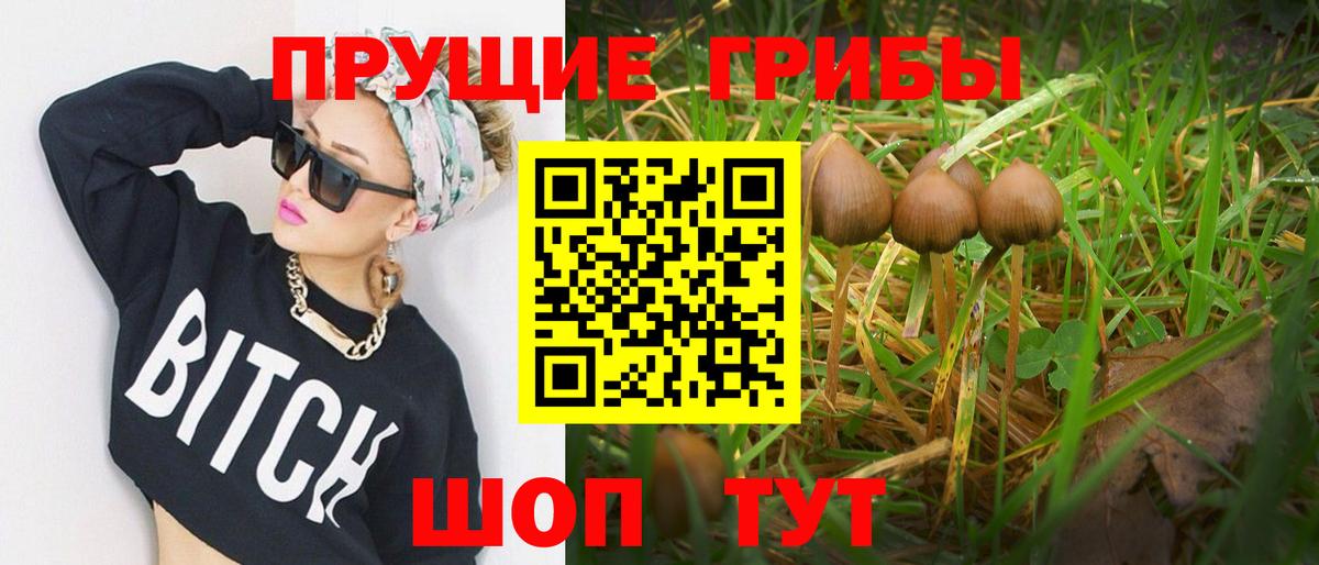 Псилоцибиновые грибы ЛСД Каменка