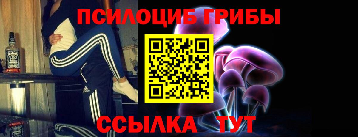 Каменка  продажа наркотиков  Вход с VPN  Галлюциногенные грибы Cubensis  Галлюциногенные грибы Magic Shrooms 
